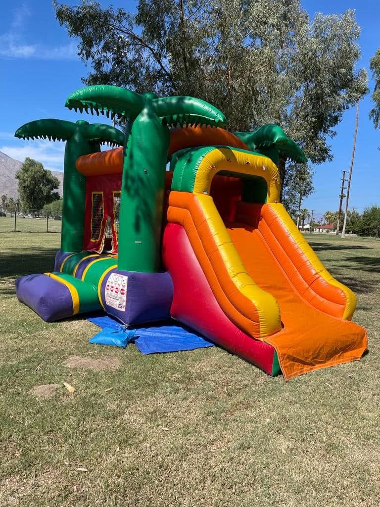 Adventure Specialty Slides